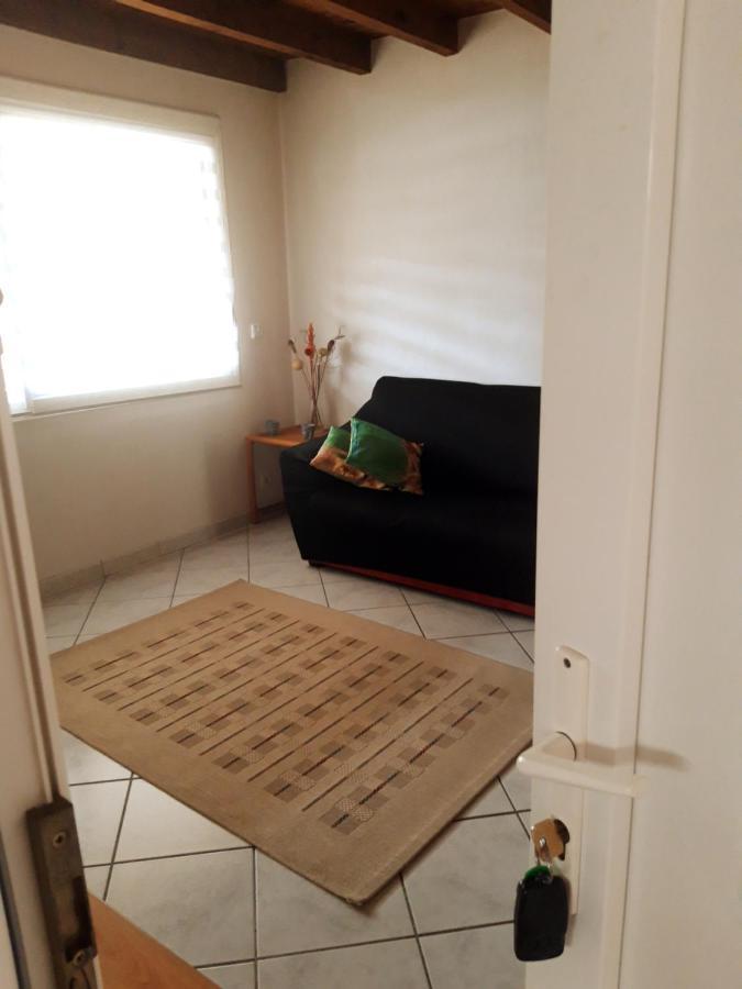 Duplex Le Cocon Appartamento Pins-Justaret Esterno foto